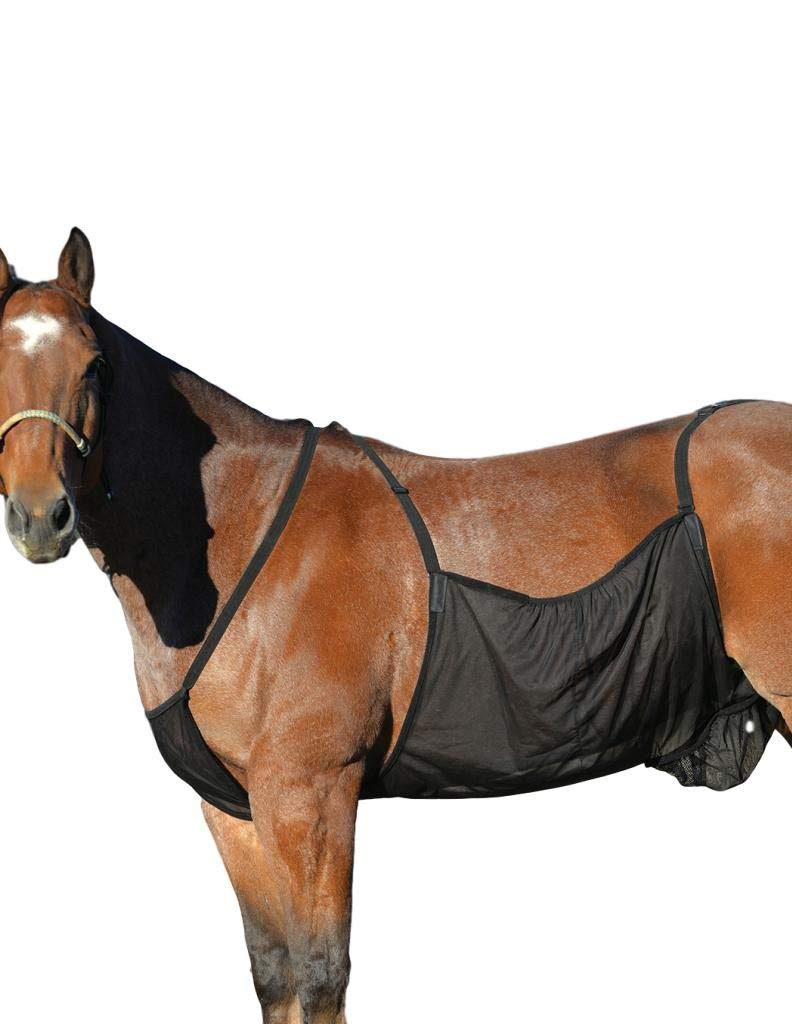 Cashel Horse Fly Sheet, Belly Guard, Large Amazon.in Pet Supplies