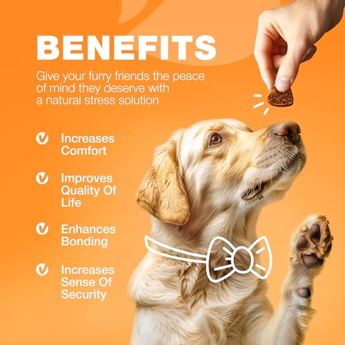 Chewia CH_AI_D_180-09102024 Dog Allergy Relief Chews - Itch Relief thumb #7