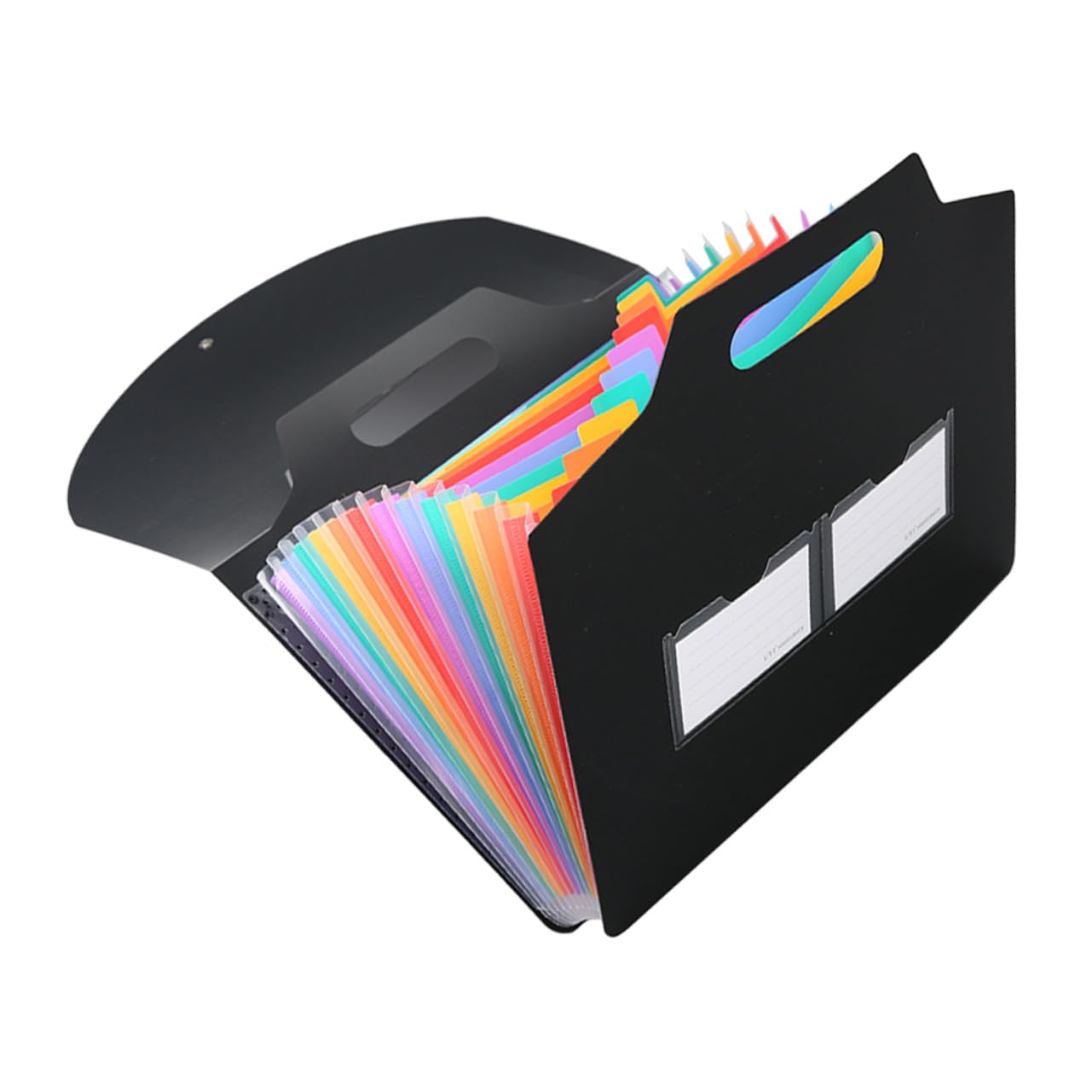 jojofuny 2 Pezzi Organizer Documenti con Scomparti Portadocumenti Portatile e Leggero con in Custodia Pratica per Ufficio e Casa per Ricevute Fatture e Contratti Design