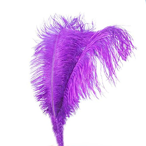 Kolight® 10Pcs Ostrich Feather Purple 12"-14" Natural Feathers Wedding, Party,Home,Hairs Decoration #TOP3
