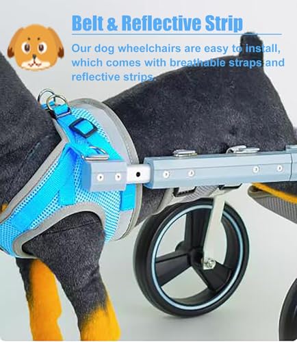 Silla de ruedas para perros discapacitados, carrito ajustable de dos ruedas con bandas reflectantes 3