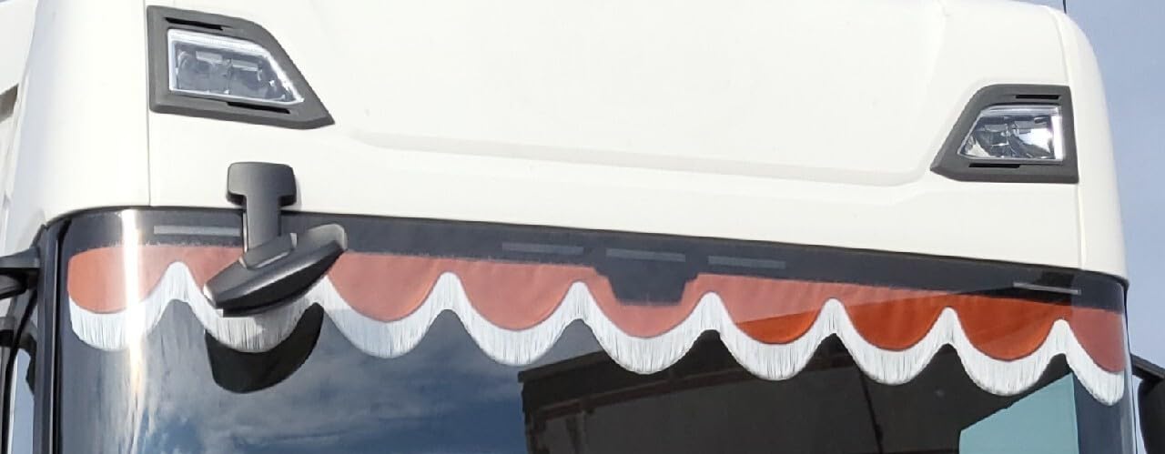 KramTruck Rideau de camion avec franges, pare-soleil pour camion, protection solaire pour toutes les marques de camions, noir, franges blanches