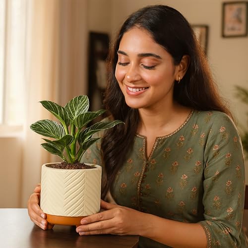 Image of Urban Plant Terracotta Pot - Trendy Planter for Modern Home & Garden Spaces (Emerald Terracotta Pot)