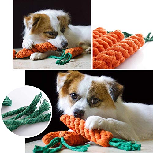 Image of Foodie Puppies Durable Dog Chew Plush Rope Puppy Dental Teething Cleaning Chewing Molar Cotton Knot Clean Teeth Healthy Chew Fun Toy for Puppies (Color May Vary) (Carrot)