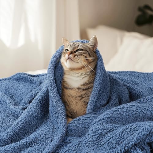 Image of Luciphia Ultra Soft Sherpa Fleece Dog Puppy Cat Blanket for Small Pets | Calming Plush Throw For Crate,Couch,Car,Bed.Machine Washable.Puppy Essential,Dog Gift,Cat Stuff,Haze Blue,30x20 inches