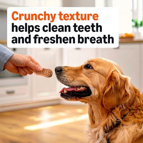 Amazon Basics Crunchy Dog Biscuits Peanut Butter Flavor Dog Treats 5 lb. Box - Image 5