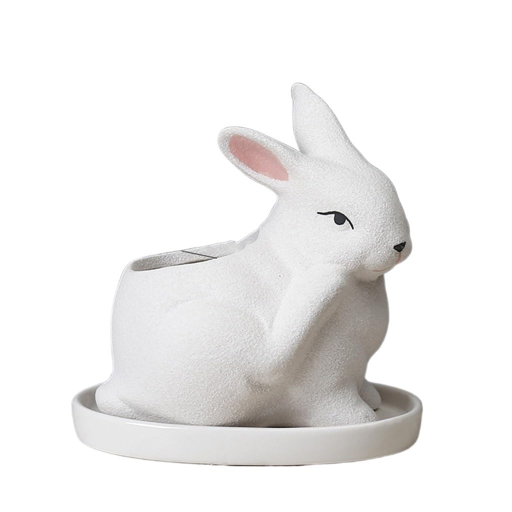 Gelasige C Flower Pots Animal Erami Flower Pots, Simple And Ute Succulent Flower Pots, Home Balcony Flower Pots, Garden Decoration Outdoor Flower Pots(C)