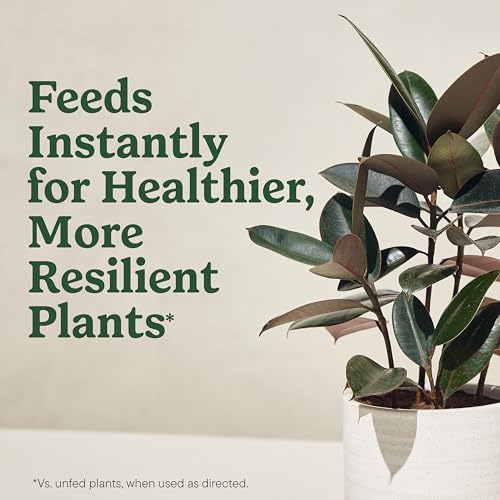 Miracle-Gro Organic Indoor Plant Food, 8 fl. oz. (2-Pack) - image 3