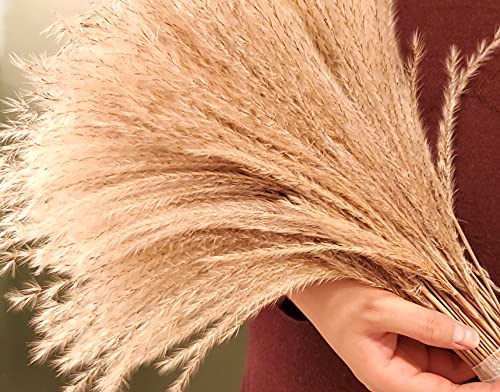 100 Pcs Fluffy Pampas Grass Reeds Dried Flower, 17" Tall Not Sparse Natural Plant For Boho Wedding Bouquet Arrangement, Rustic Floral Home Decoration, Vase Filler For Living Room Decor For All Seasons #TOP6