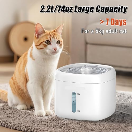Fuente de agua para gato de acero inoxidable 74oz miniatura 2