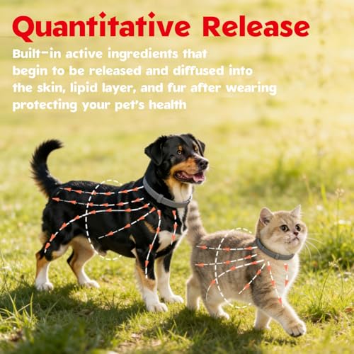 Zeckenhalsband für Hunde und Katzen,Flohhalsband Wasserdicht und Verstellbar,100% Natürliche Inhaltsstoffe,Bis zu 8 Monate Schutz Gegen Zecken und Flöhe Natürlichen Inhaltsstoffen