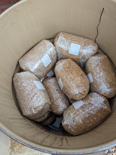 Masters Mix - Sustrato de hongos esterilizados, mezcla de aserrín de madera dura y casco de soja, 1,6 kg