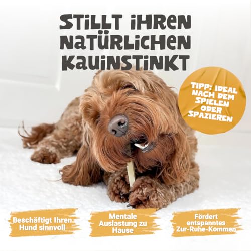 Pets Purest Himalaya-Yak-Milch-Kauartikel 5 Stück - 100% natürliche Käseknochen-Leckerbissen - Für alle Altersgruppen - Lang anhaltender Protein- & Kalzium-Zahnstick - gegen Plaque/Zahnstein