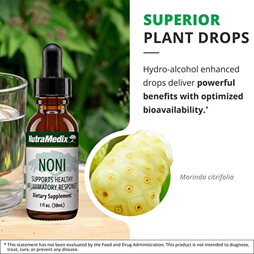 nutramedix noni drops - noni fruit extract for immune support amp promoting healthy antioxidant activity amp overall wellness 1oz