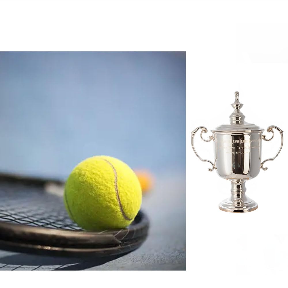 【レア】ラウンドワン　Champion　Trophy Minichamps 1:43 Max Verstappen Red Bull RB18 #1 勝者 日本 GP