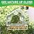 chunhai Clear Bird Feeder for Window