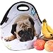 iColor Cute Pug Boys Girls Kids Neoprene Sleeve Insulated Lunch Tote Pouch Container Portable Cooler Waterproof Picnic Protector Case Soft Office School Carry Box Travel Outdoor Handbag Food Storage