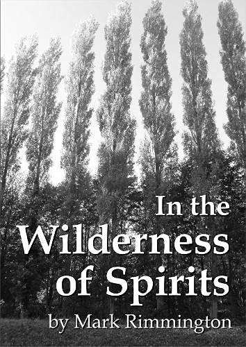 In the Wilderness of Spirits: Amazon.co.uk: Rimmington, Mark ...