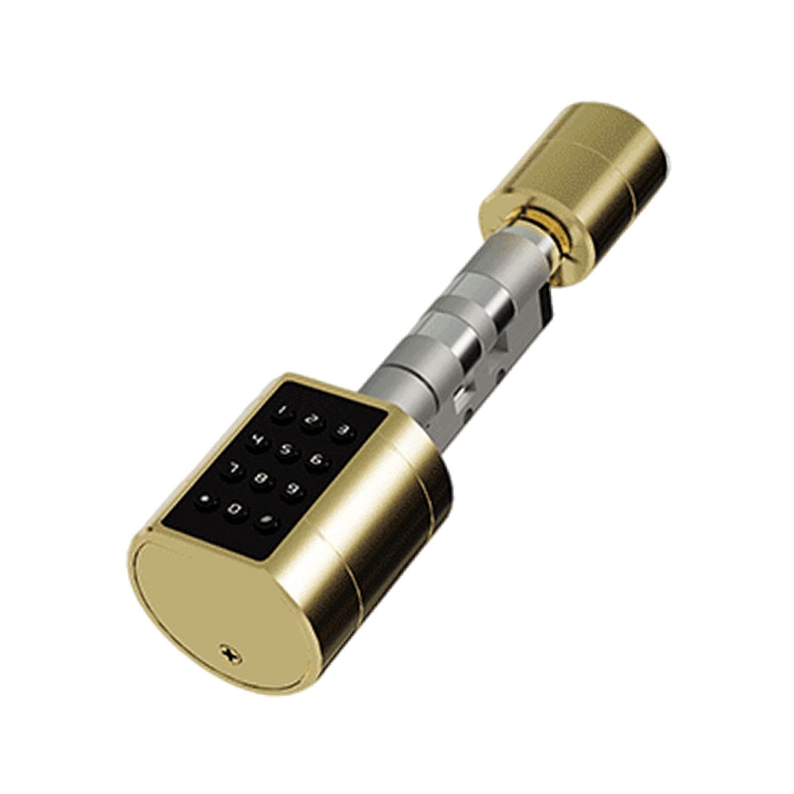 Serratura Meccanica a Chiave/serratura Elettronica per Porta di Casa, Spessore 75 Mm X 100 Mm, Oro per