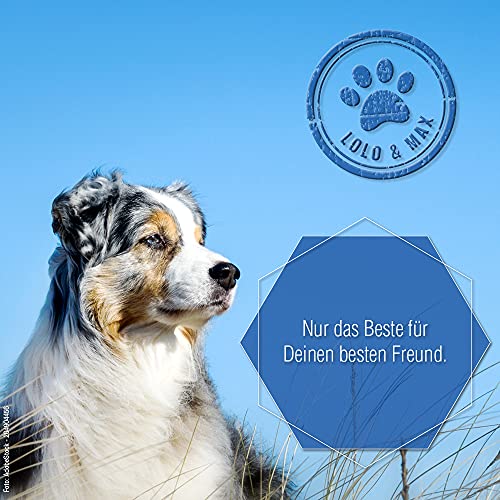 Lolo & Max DentaClean Futterspray - 130ml Flasche - Dentalspray für Hunde, Katzen & Co. - Zahnreinigung Hund - Gegen Mundgeruch - Dentalspray für Hunde Zahnstein