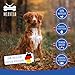 MERVELA Pferdekopfhaut ohne Fell | Hypoallergen | 1 kg | Qualität aus Deutschland | 12 cm Stücke | natürlicher Kauartikel | 100% Monoprotein Pferd