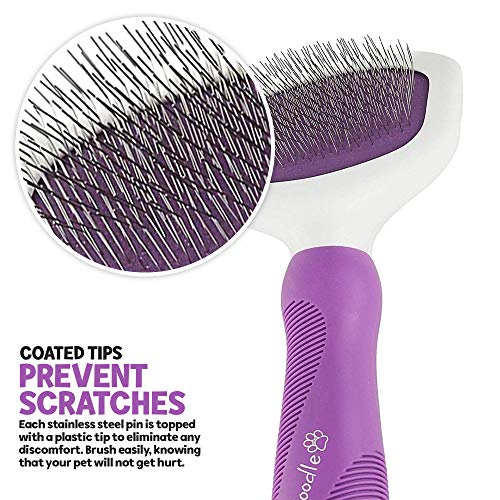 slicker brush for poodles
