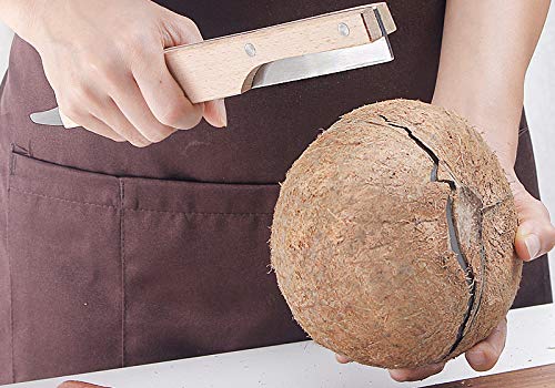 NILKANTH® - Coconut Opener Tool Stainless Steel Coconut Knife with Wooden Handle 3
