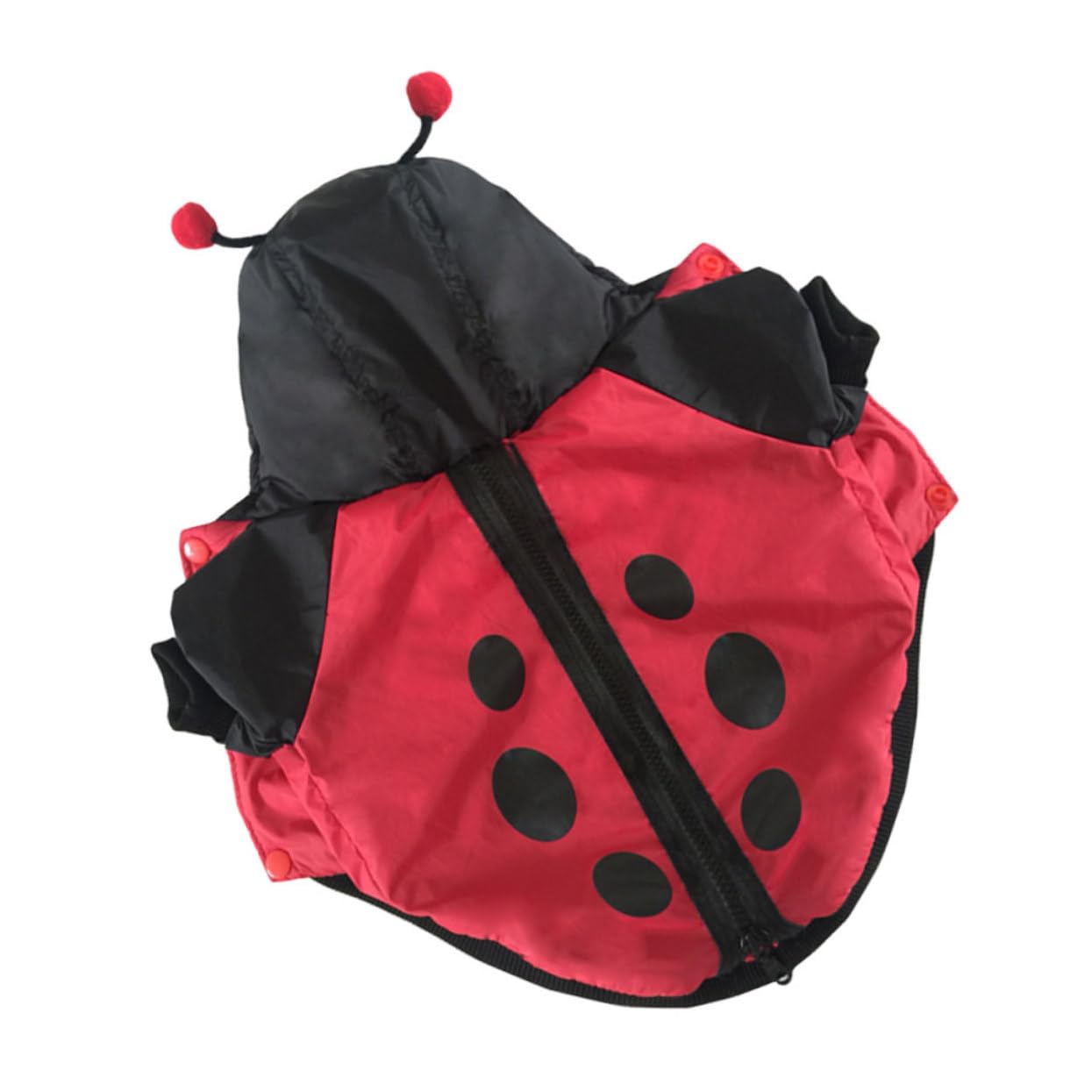 Vêtements amusants pour animaux : le déguisement de ladybug pour chat confortable et sans stress