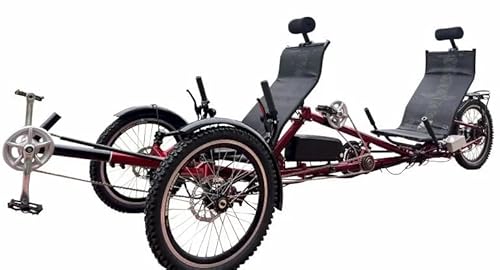 Tandem Recumbent Trike for Couples