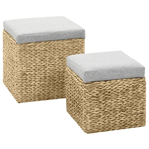 vidaXL Lot de 2 Repose-Pied Jacinthe d'eau, Cube avec Coffre de Rangement, Tabouret de Salon, Organisateur d' Entrée Intérieur, Gris