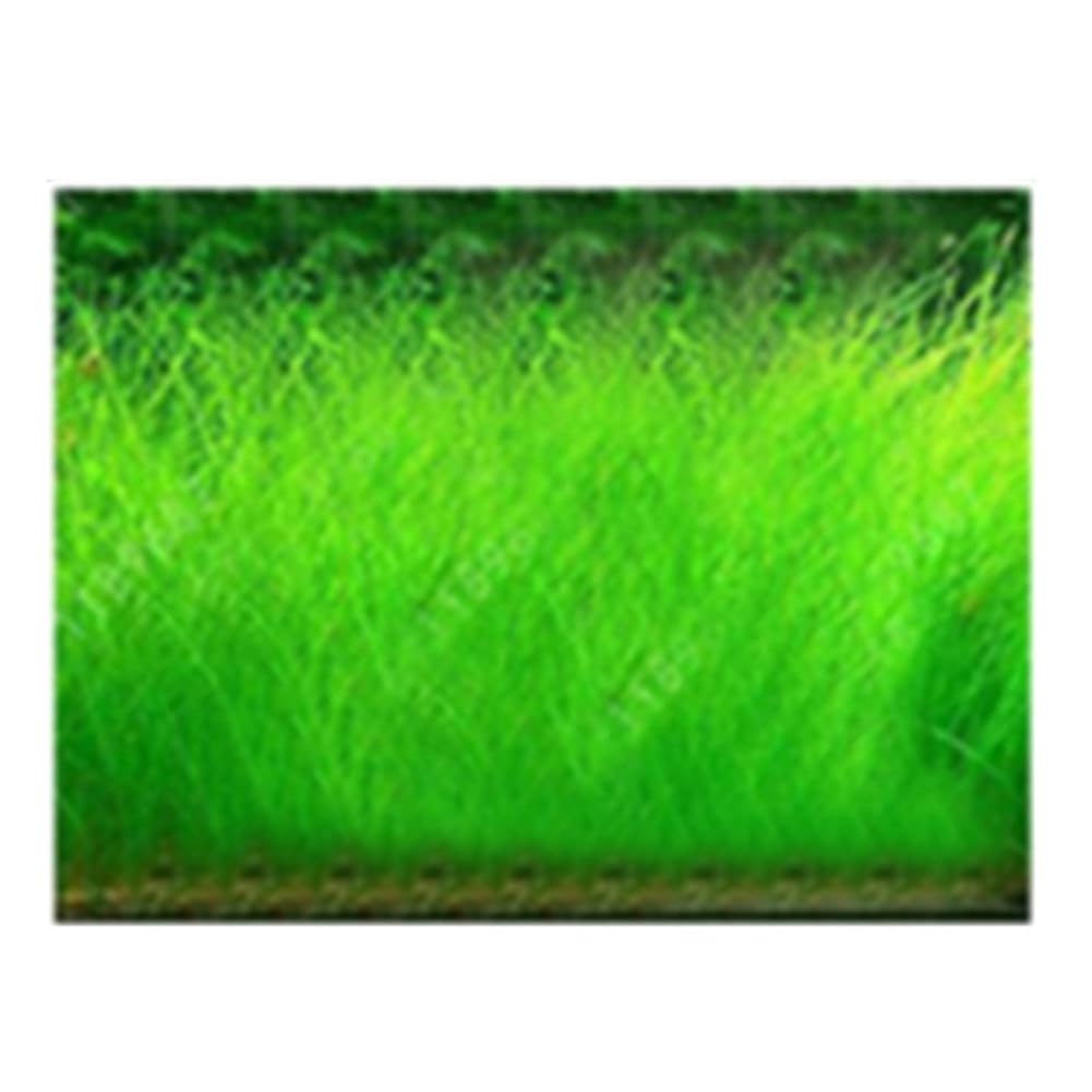 100 Unids Acuario Agua Hierba Semillas Pecera Hidrófila Planta Paisaje Decoración Flor Fruta Árbol Vegetal Semillas Grandes semillas peludas 100pcs