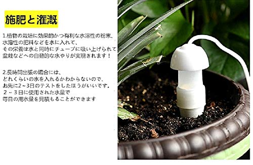 観葉植物の水やり パキラは一週間に１回 冬は 2 3日いける