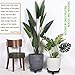 Murilan 10.6 inch Plant Caddy Heavy Duty, Potted Plant Stand with Wheels, Round Flower Pot Mover, Rollers Dolly Holder Indoor Outdoor Rolling Tray Coaster