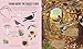 My Nature Collection: Up in the Air: Seek, find and celebrate nature's treasures with the Natural History Museum