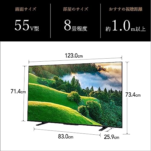 レグザ 55インチ 4K液晶テレビ 55M550L 4Kチューナー内蔵 外付けHDD 裏録対応 スマートテレビ (2022年モデル) [2]
