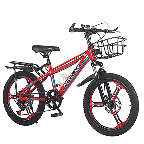 Axdwfd Kinderfahrräder 18-20-Zoll-Jungen- und Mädchen-Kinderfahrräder mit Stabilisatoren, hinteren Sitzen und Klammern (Size : 20in)
