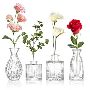 Glass Bud Vases Set of 4, 4 Sizes of Small Flower Vase for Party or Home Table Decorations