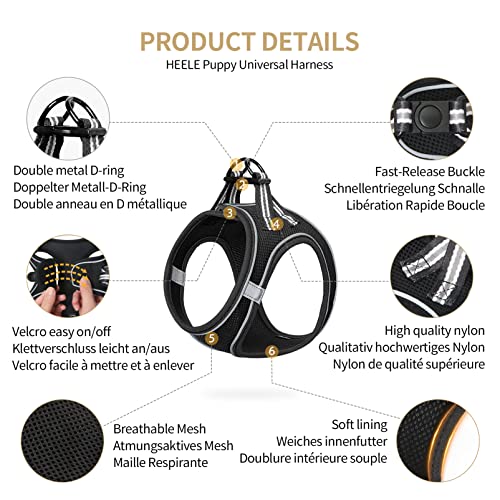 HEELE Pettorina per Cani di Piccola Taglia