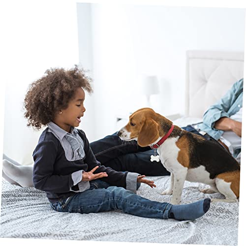 Toyvian 2 Sätze Haustiermarke Wille Hundemarke Anhänger Selber Machen Hundetags Hund Namensschild Hundemarke Individuell Stichworte Code Silber Rostfreier Zufällige Farbe 6 Stück * 2