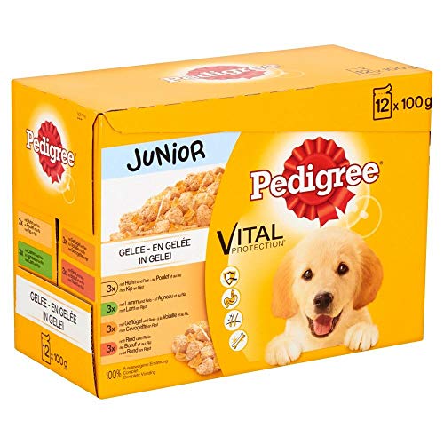 Bolsas de gelatina Fresca, 12 x 100 g Junior