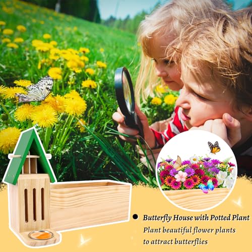 Image of Butterfly House and Feeder with Flower Pot for Outside, 3-in-1 Wooden Butterfly House for Garden, Natural Butterfly Habitat with Butterfly Puddler for Garden Decor
