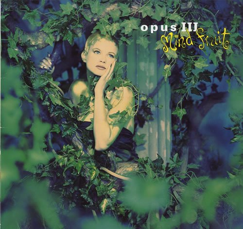 Mind fruit (1992) [VINYL]