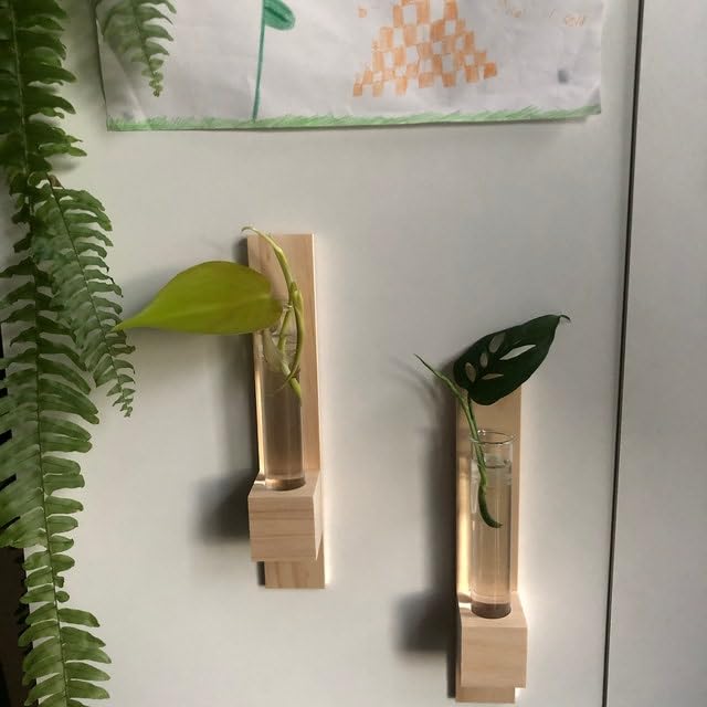 Image of Test Tube Wall Planter (Set of 2) | Hanging Planters | Stick to Wall | Wall Planter | Planter for Indoor Plants |Decorative Planter (Comes with Double Sided Tape)