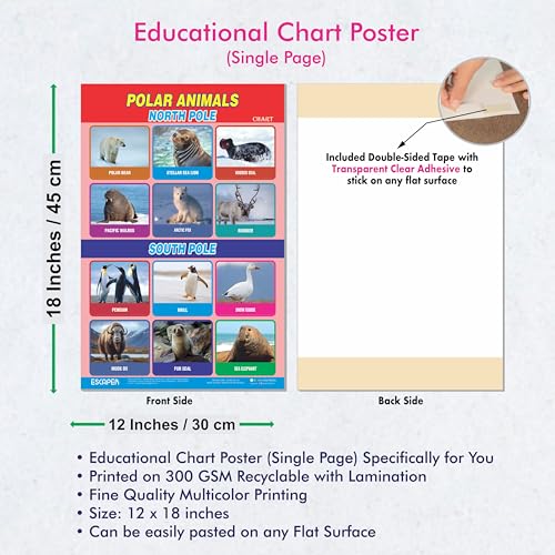 Image of ESCAPER Polar Animals Educational Charts for Kids Learning (11.5 x 17.5 inches), 300 GSM Paper Laminated, Self Adhesive Back, Learning Chart, Kids Study Material, Educational Posters