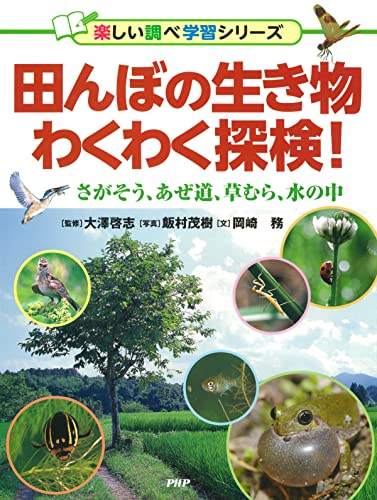 田んぼの生き物わくわく探検! さがそう、あぜ道、草むら、水の中