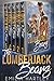 Lumberjack Bears Boxed Set: Books 1 - 5