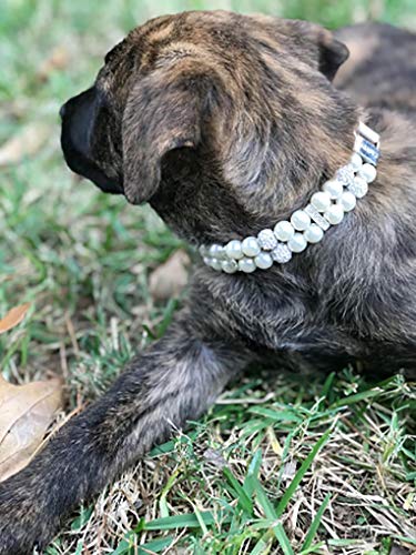 Halsband für Hunde,Hundehalsband mit Perle,Hunde-Katzen-Mode-PU-Leder-Perlenhalsband mit Bling-Strass-Diamant,Verstellbares Chihuahua-Hundehalsband für Hunde,Katzen,Welpen,Kätzchen,M,1.5X33cm