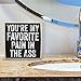 You're My Favorite Pain In The Ass - Wooden Sign - Farmhouse Home - Great Must Haves Couples Bedroom Decor, Quotes, Signs for Home Decor, Funny Gifts for Her