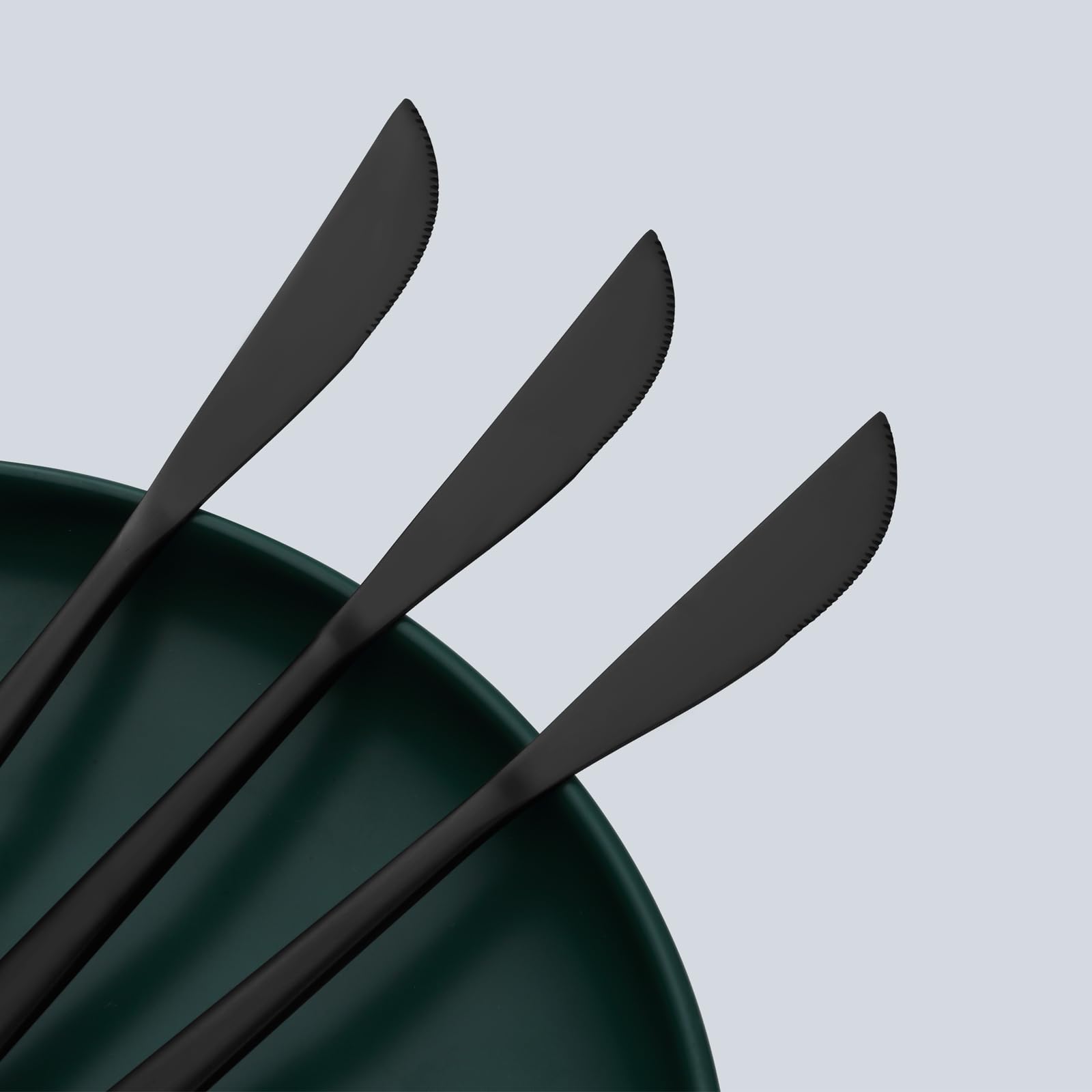 Pleafind coltelli da tavola 24 pezzi, coltelli acciaio inox 22 cm, set coltelli da tavola in Nero, coltello da burro, coltelli carne, coltello per la casa e il ristorante, lavabile in lavastoviglie