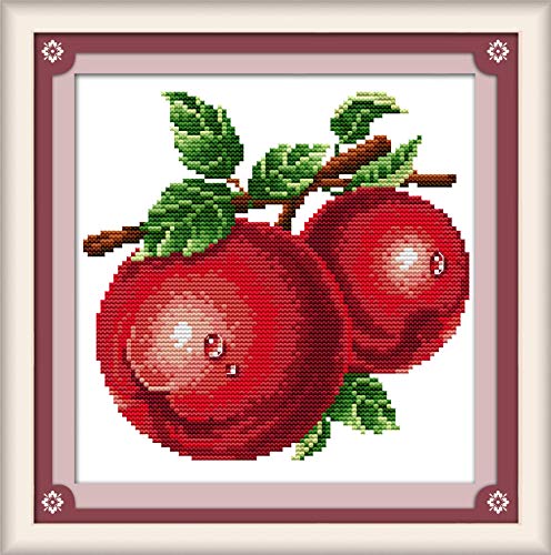 OWN4B Cross Stitch Kits Stamped, Water-Drop Apples Printed Pattern 11CT 12.6x10.6 inch DIY Embroidery Kit